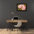 thumbnail image 3 of Fasani 18x14 Black Modern Framed Museum Art Print Titled - SAY IT WITH FLOWERS II, 3 of 6