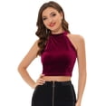 thumbnail image 1 of INSPIRE CHIC Top corto de fiesta con capas básicas de terciopelo y cuello halter para mujer Vino rojo S, 1 of 5