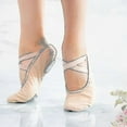 thumbnail image 4 of Women Ballet Shoes Dance Adult Children Ballet Slippers Soft Sole Professional Canvas Dance Training Shoes For Ballet, 4 of 4
