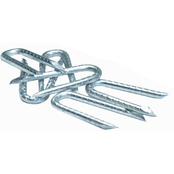 Fence Staples, 2 inch 1 lb