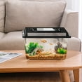 thumbnail image 3 of Standard Faunarium Reptile Tank Transport Portable Habitat Feeding Boxes with Handle for Gecko, 3 of 4