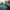 Turquoise, variant on Rugsotic Carpets Hand Tufted Shag Polyester Eco-Friendly Area Rugs - 2'6''x6', Runner, Beige, Plain Solid Design, High Pile Handmade Anti Skid Rugs for Living Room, Bed Room K00111