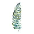 thumbnail image 3 of Tre Sorelle Studios 8x14 Black Modern Framed Museum Art Print Titled - Botanical Fern Single III, 3 of 5