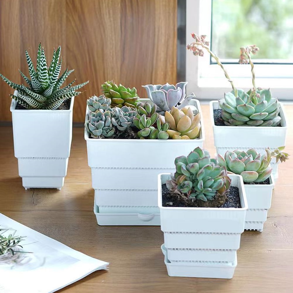 CSCHome 6 PCS Breathable Planter Square Orchid Potting Mix with Drainage Holes for Repotting for Succulents Gardening Home Window Decor