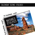 thumbnail image 3 of Clearance! Nature's D* 2025 Calendar Funny White Elephant And Secret Santa Gift, 3 of 9
