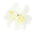 thumbnail image 2 of Accessoires pour Cheveux à Fleurs, Fleurs pour Cheveux, Épingle à Cheveux Double Fleur Style Bohème Tête Épingle à Cheveux Fleur Simulée Accessoires pour Cheveux, 2 of 3
