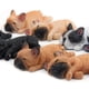 thumbnail image 4 of Adorable Perro De Resina Decoraciones Artesanales Artesanías Para El Hogar Decoraciones De Escritorio De Juguete Marron Soledad Sleeping Corgi Dog, 4 of 7