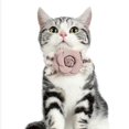 thumbnail image 2 of Pajarita acogedora de la flor del cuello del animal doméstico atractivo para la longitud  del Zulema Collar del gato del perro del animal doméstico, 2 of 8
