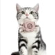 thumbnail image 2 of Pajarita acogedora de la flor del cuello del animal doméstico atractivo para la longitud ajustable del Jinwen Collar del gato del perro del animal doméstico, 2 of 8