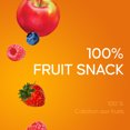 thumbnail image 3 of SunRype Fruit to Go 100 % Collation aux Fruits, 3 of 7