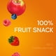 Boîte de collations 100% fruits Fruit to Go SunRype 24 x 14 g – image 2 sur 6