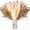 HS09, variant on Acquisition 110 Pcs Dried Flowers, Boho Decor, Pampas Grass Decor, Flores Artificiales Para Decoracion