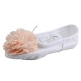 thumbnail image 1 of Zapatos De Baile Zapatillas De Ballet Zapatillas De Gimnasia Goma Hija A Practicar Para Niñas Chicas Zulema  Zapatos, 1 of 8
