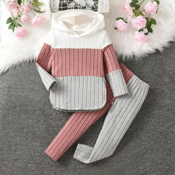 lulshou Kids 2 Piece Outfits Toddler Kids Kids Girls Fashion Cute Solid Color Long Sleeved Hoodie Pants Tracksuit Set on Clearance