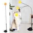 thumbnail image 3 of Retractable Cat Wand Toys, Funny Cat Stick Perfect Interaction  for Funny Cat, 3 of 7
