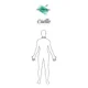 thumbnail image 4 of Camisa De Caballero Gop, 4 of 5