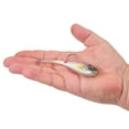 thumbnail image 2 of Berkley PowerBait® Power® Switch, 4.25 in, Wonderbread, 2 of 4