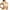 Beige, variant on MRULIC bras for women Bra For Seniors Front Closure Posture Corrector Bra For Women Full Coverage Front Closure Support Bra For Older Women Beige + XXL