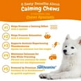 thumbnail image 2 of Zesty Paws Calming Turkey Daily Soft Chews Dog Supplement, 2 of 9