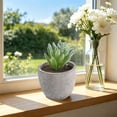 thumbnail image 6 of Artificial Potted Plants, Fake Plastic Plants with White Pots, Small Flower Arrangement for Home Office Table Decor, 6 of 6