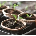 thumbnail image 4 of Biodegradable Peat Pots for seedlings, 100 Pack Plant Seed Starter Pots Kit, 2.4inch Succulent Planter Nursery Pots with 10 Plant Markers, Garden Germination Kits, 4 of 6