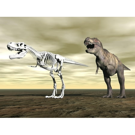 - Comparison of Tyrannosaurus Rex standing next to its fossil skeleton Canvas Art - Elena DuvernayStocktrek Images (17 x 13)
