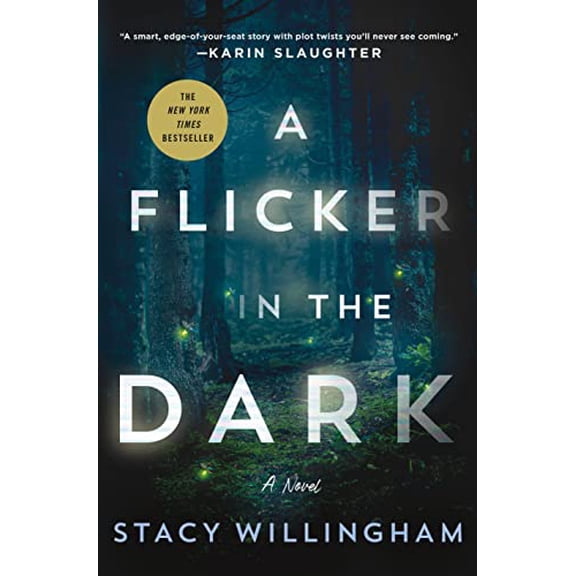 Pre-Owned A Flicker in the Dark (Hardcover) 1250803829 9781250803825