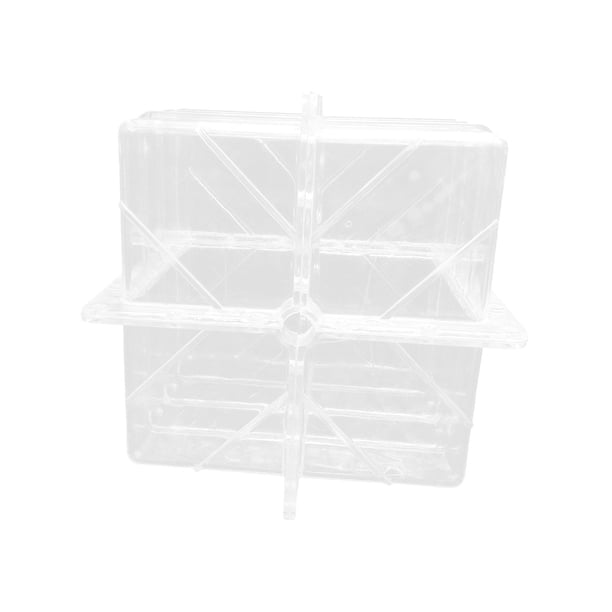 Herramienta de conformación de sandía, modelo de cultivo de sandía de forma cuadrada, modelo de crecimiento de fruta transparente de fruta sólida