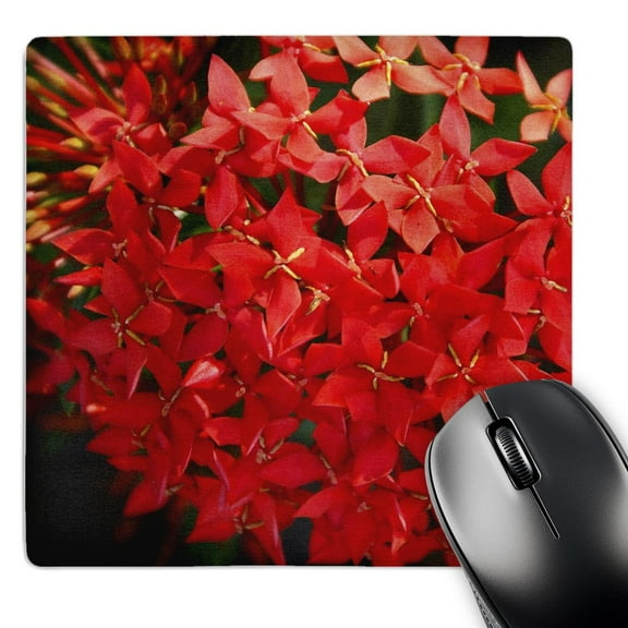 3dRose, Red Ixora, MousePad