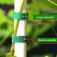 thumbnail image 6 of Self Adhesive Plant Tape, Green Gardening Binding Tape for Climbing Plants, Adjustable & Reusable Flower Support Tie for Garden, Balcony, Yard – 1 Roll, 6 of 6