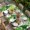 Green Gold Beige, variant on St. Patrick's Day Table Cloths for 3 Foot Rectangle Tables, Spring Lucky Shamrocks Green Gnomes Plaid Patio Waterproof Elastic Fitted Tablecloths, Washable Rectangular Table Cover for Camping