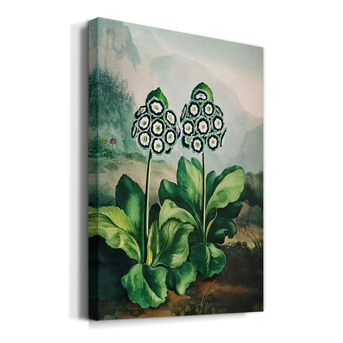 Temple of Flora XI Premium Gallery Wrapped Canvas - Ready to Hang