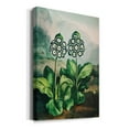 thumbnail image 2 of Temple of Flora XI Premium Gallery Wrapped Canvas - Ready to Hang, 2 of 9