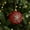B-1597, variant on AuroraX Red Christmas Decoration Bohemian Decorative Plastic Ball Ornaments Glitter 3.1" Hanging for Xmas Gifts,Birthday,Christma Tree Decor