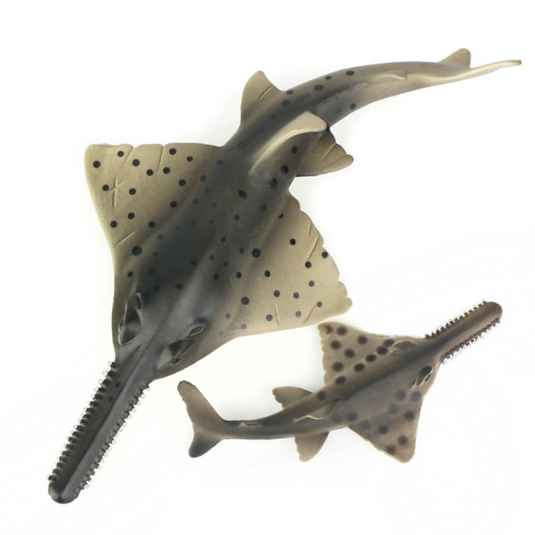 Sawfish toy store