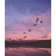 thumbnail image 1 of Pre-Owned Biology: Concepts and Applications, Paper Version (with CD-ROM and InfoTrac) (Paperback) 0534563252 9780534563257, 1 of 1