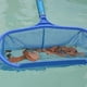 thumbnail image 4 of Price Drop Items Leaf Rake Mesh Frame Net Skimmer Cleaner Swimming Pool Spa Tool New, 4 of 4