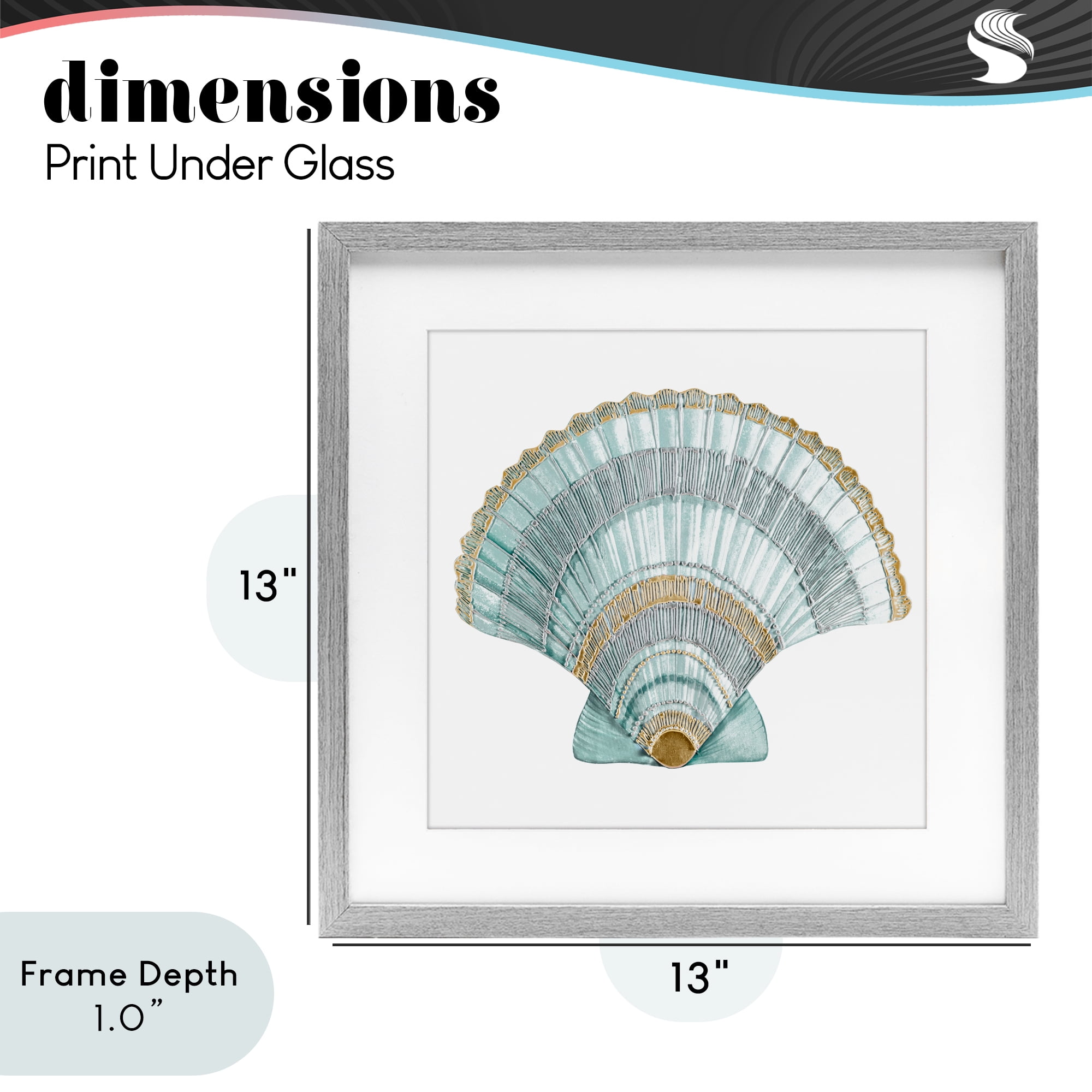 Stupell Industries Regal Shells Scallop Gray Framed Print Under Glass, design by Lorenzo Collective