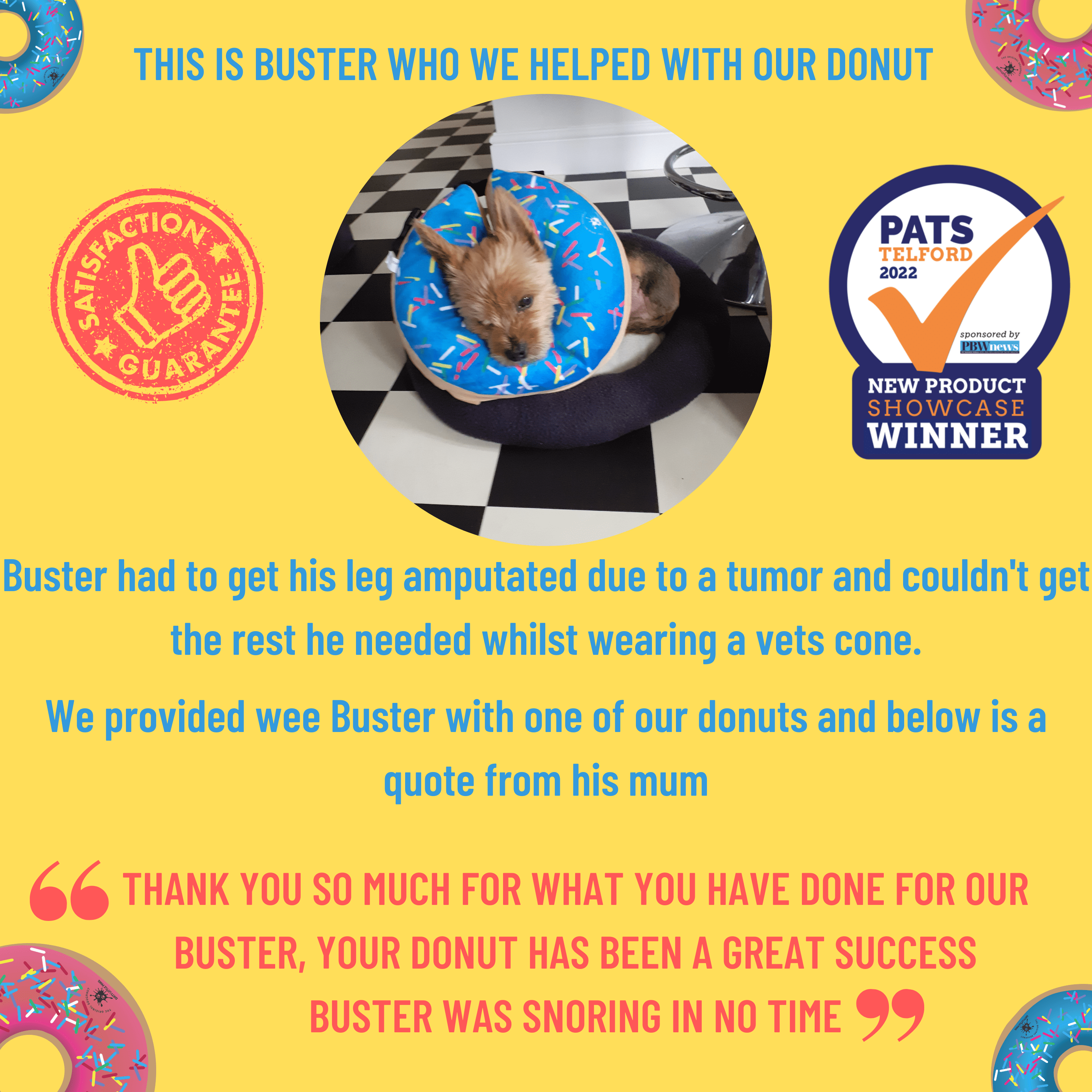 Dog Donut Collar | Great Alternative to a Traditional Dog Cone or a Soft Dog Cone Collar | Our Inflatable Dog Cone is an Excellent Cone for Dogs after Surgery | Dog Cones for Medium Dogs (Blue)