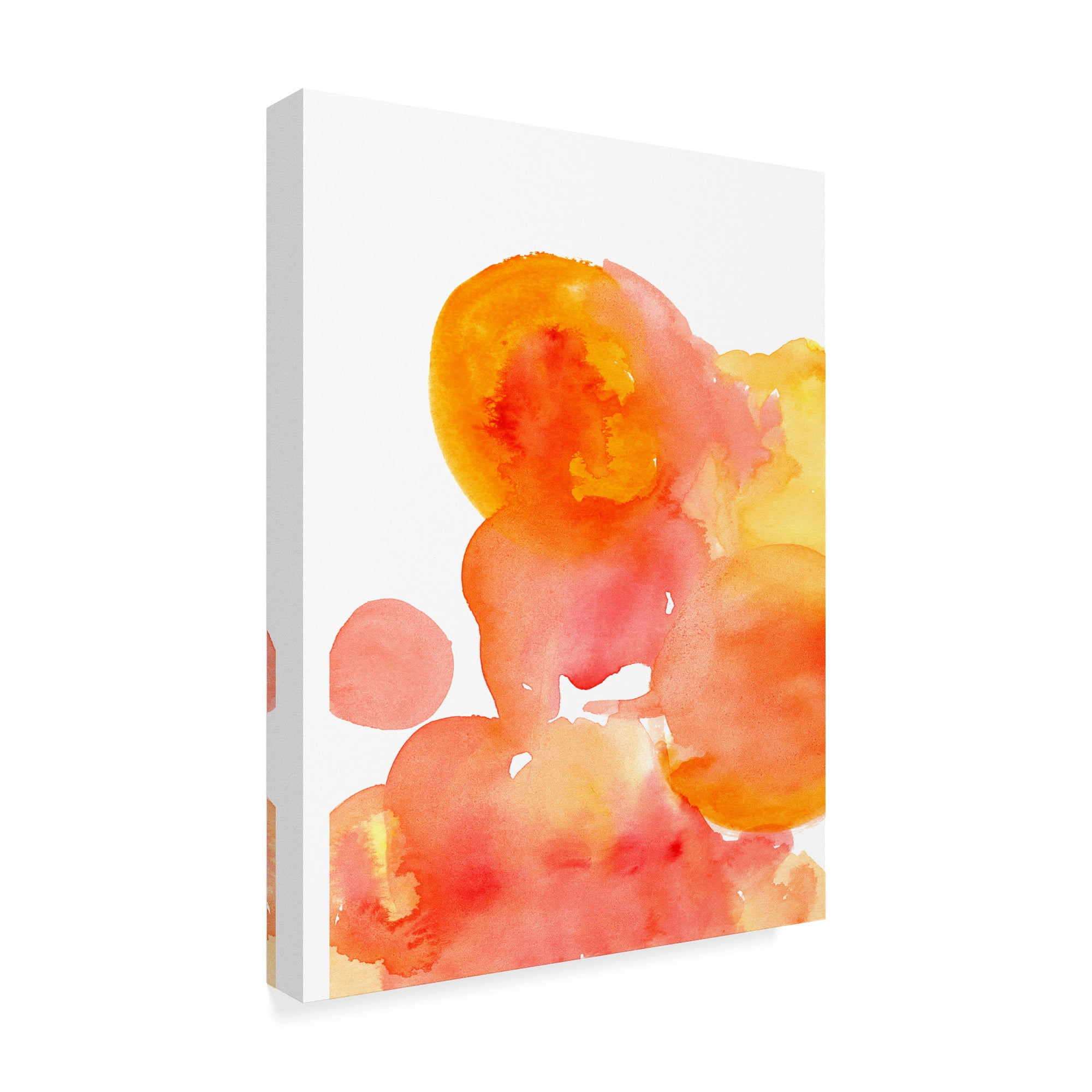 Trademark Fine Art 'Fire Water I' Canvas Art by Deborah Velasquez