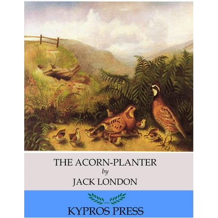The Acorn Planter Ebook Walmart Com