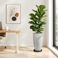 thumbnail image 5 of FIASON 2 Pack 21 Inch Light Gray Sand Tall Planters, Indoor Outdoor Textured Plant Pots with 2-in-1 Saucer & Drainage, Concrete Look Flower Pots for Patio Garden Living Room, 5 of 8