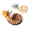 thumbnail image 4 of Delicate Marine Animal Model Simulation Toy Nautilus Hand Model for Children Size S Nautilus, 4 of 8