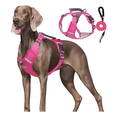 thumbnail image 2 of Pechera Arnés De Seguridad Para Perro Talla S Malubero Fucsia, 2 of 5