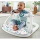 thumbnail image 2 of Asiento de piso Fisher-Price Sit-Me-Up - Pacific Pebble, sil Fisher Price Fisher-Price, 2 of 2