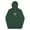 Alpine Green, variant on Surf's Up Monster Premium Mens Hoodie