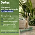 thumbnail image 6 of Denties Dental Chews for Dogs–Vet Recommended Dental Dog Treats for Regular/Medium Dogs(23 to 50 lbs),Cleans Teeth, Freshens Breath,Reduce Plaque,Mint Chicken & Beef Recipe,16 oz Pack,30 Count, 6 of 9