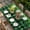 Green DarkGreen, variant on St. Patrick's Day Table Cloths for 4 Foot Rectangle Tables, Spring Lucky Shamrocks Leaves Retro Country Patio Waterproof Elastic Fitted Tablecloths, Washable Rectangular Table Cover for Camping