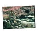 thumbnail image 5 of Decoración De La Imagen Del De Peces Del Papel Pintado De La Etiqueta Engomada Del Fondo Del Acuario 3D S, 5 of 9
