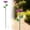Pink, variant on Zoxiy Mini Bird Bath,Metal Flower Garden Stakes Bird Bath,Garden Decor for Outside,Garden Bird Bath,Small Bird Baths for Outdoors Birdbath Set,for Bird Lovers Garden Spring Decoration,Purple,1PC